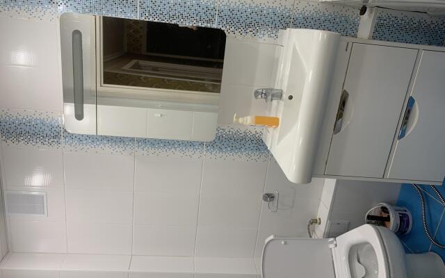 Леонардо на Ямашева