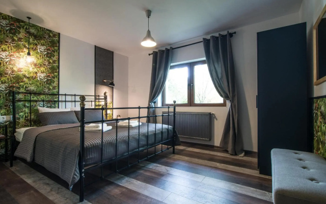 Rent in Cluj Apartments