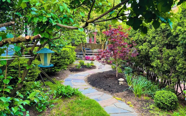 Ginkgo House on Harvard