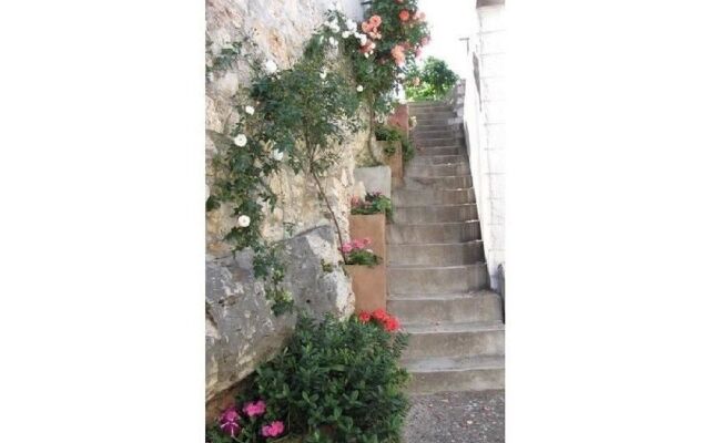Apartments Branko