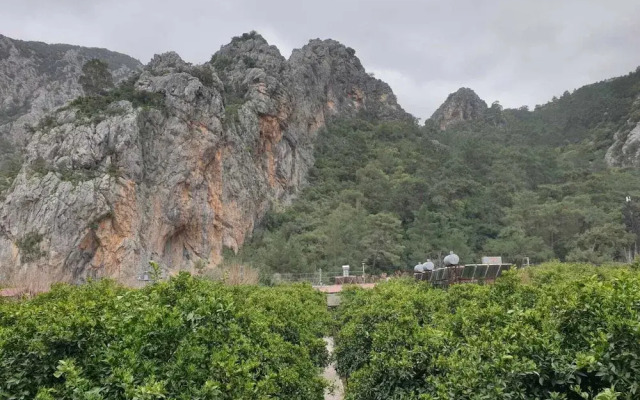 Olympos Tatilya Pansiyon