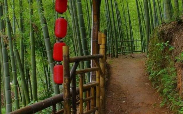 Yibin, Sichuan Bamboo Sea of Emerald Hills