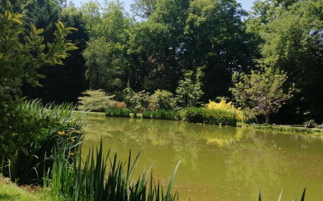 Chambre E André Le Domaine Des Jardins De Bracquetuit