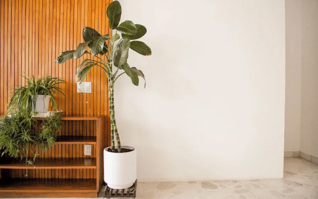 Violeta Hotel Boutique