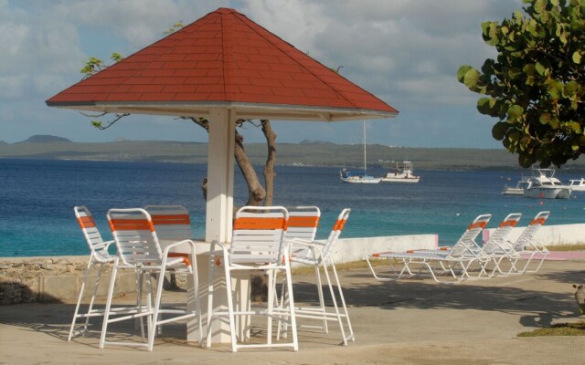 Sand Dollar Bonaire