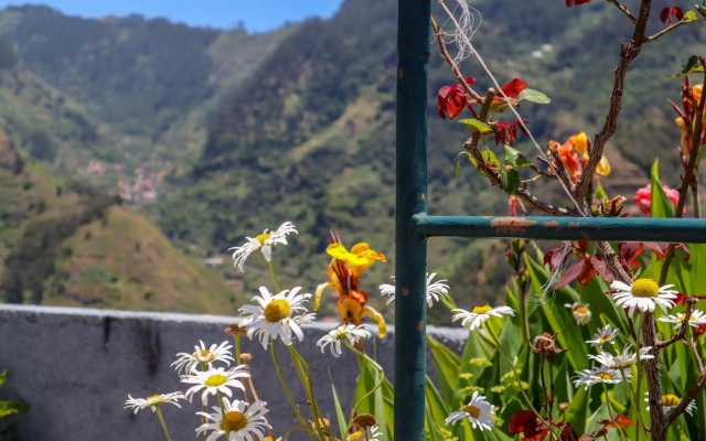 Casas Tipicas Candelaria Tabua