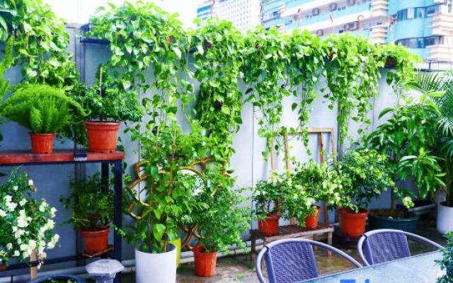 VanInn(Guangzhou Beijing Road Pedestrian Street)