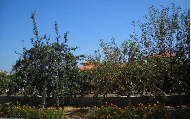 Sani Family Hotel