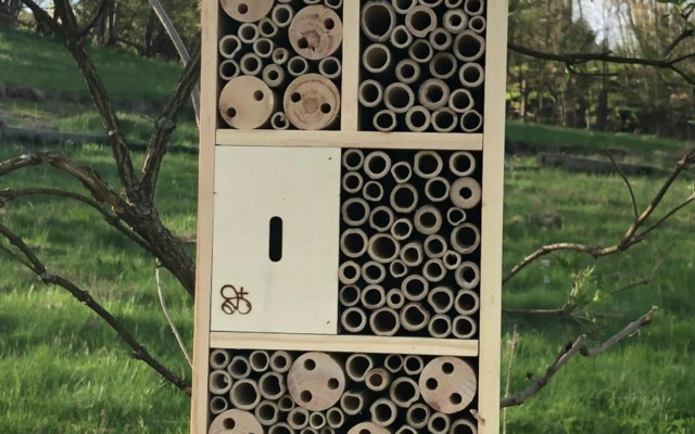 Slunečná Rokytnice