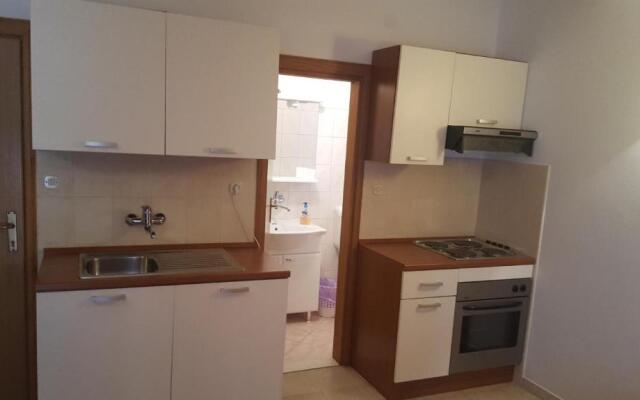 Apartments Vlasic