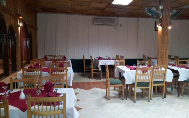 Nefertiti Sun Flower