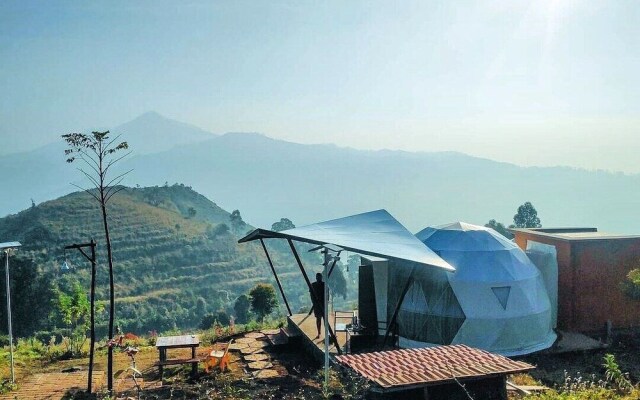 Purple Orchid By Xacro Xperiences