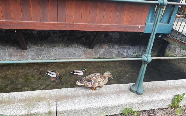 Apartamenty Magiczna Wenecja