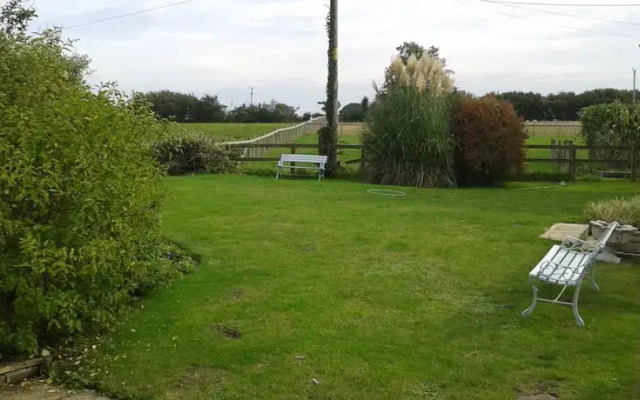 Yew Tree View
