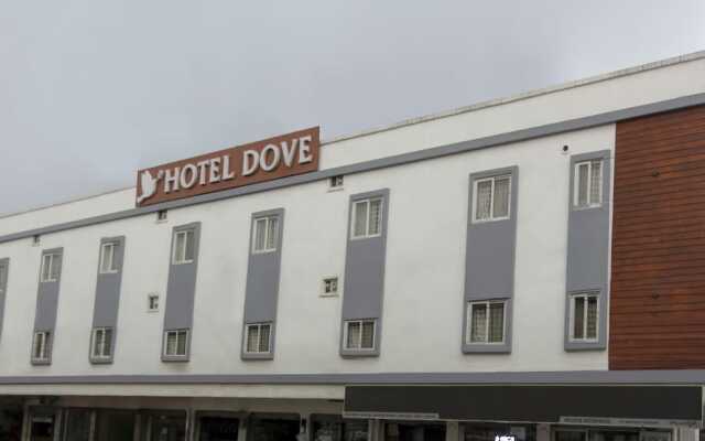 Treebo Trend Dove