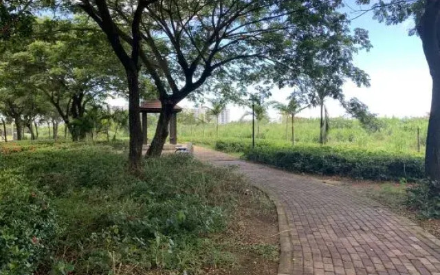 Sanya Father mark tribe