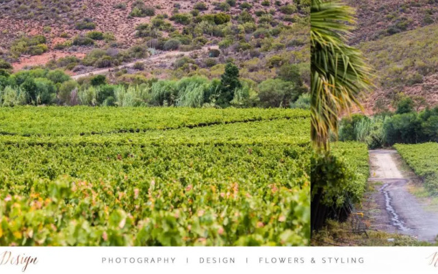 Sipreslaan Selfsorg Gastehuis