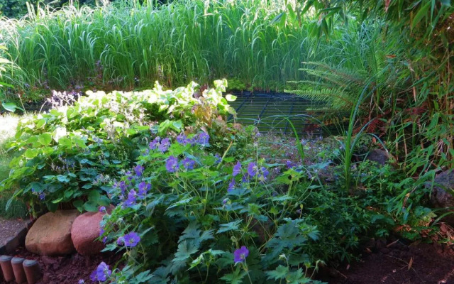 Ferienwohnung Elbe Diek