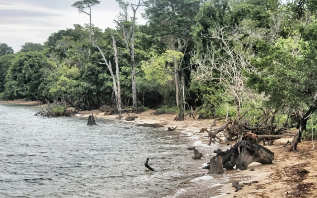 Walai Penyu Resort - Campground