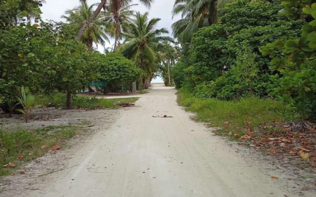 Sea Breeze View