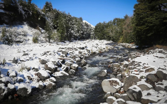 Llaima Camp