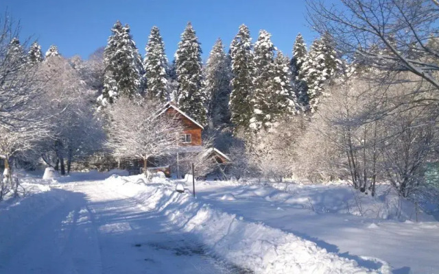 Pihtoviy Bor Hotel