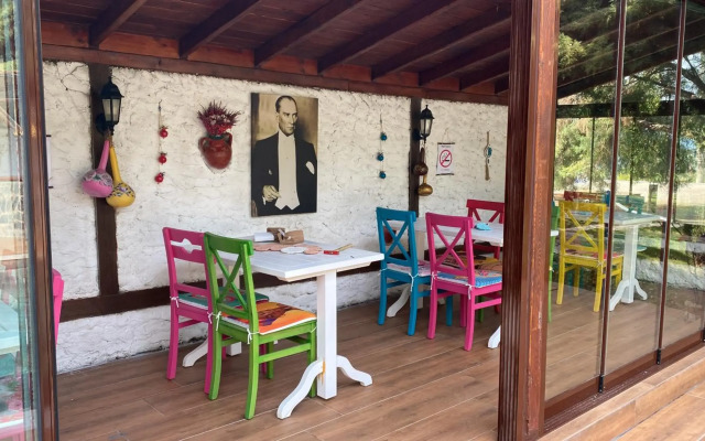 Rif Sapanca