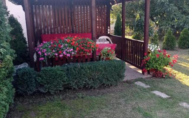 Green garden apartment