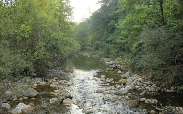 Modern Furnished Apartment Situated on the Ground Floor