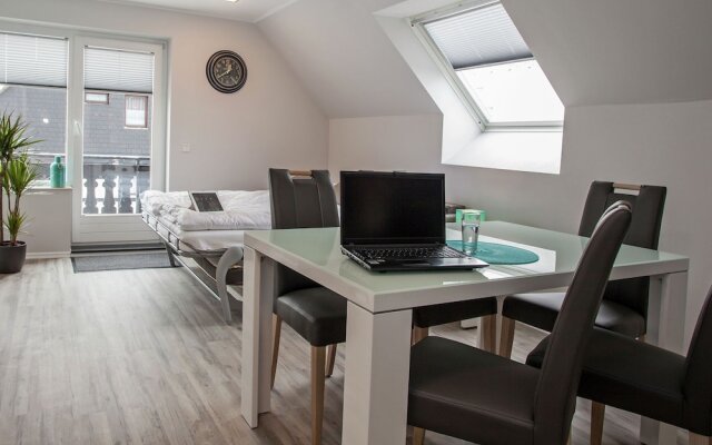 Modern Apartment on a 10-minute Walk From Winterberg