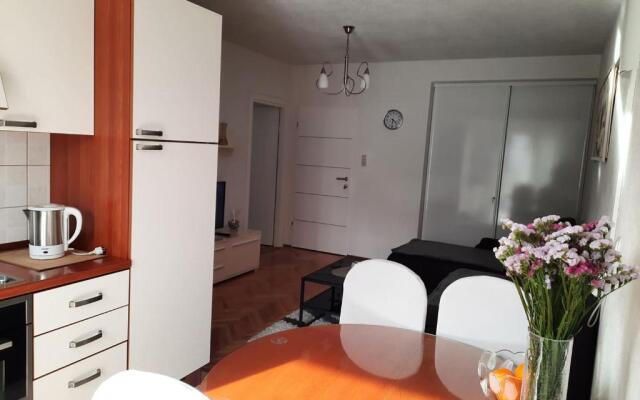 Apartments Rose Loboja