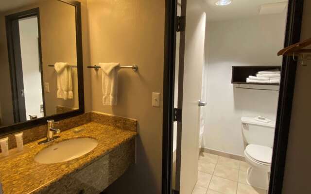 Wingate by Wyndham Chandler/Phoenix