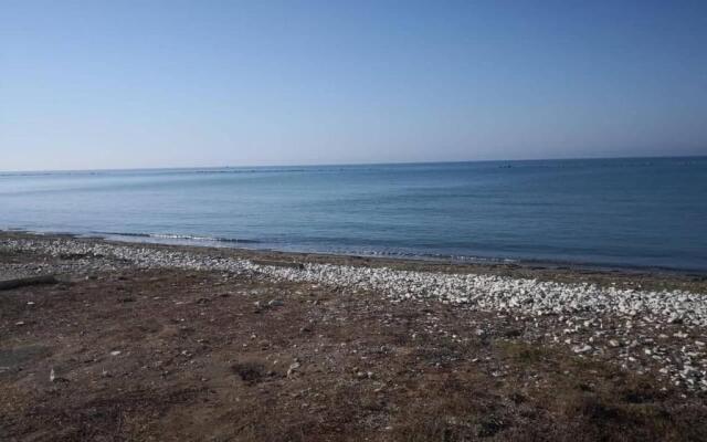 Sandy Beach N.8