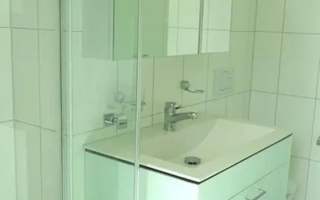 Swiss Interlaken Apartment Luxury
