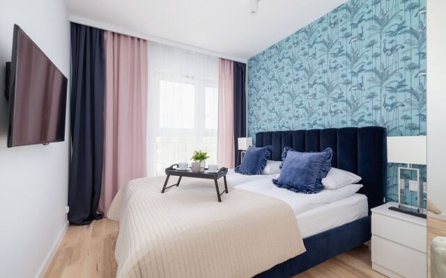 Vetulaniego by Renters Prestige