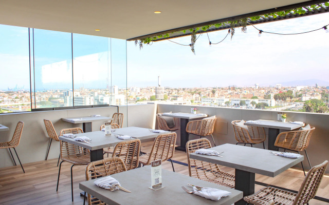 Palmetto Hotel Business San Miguel