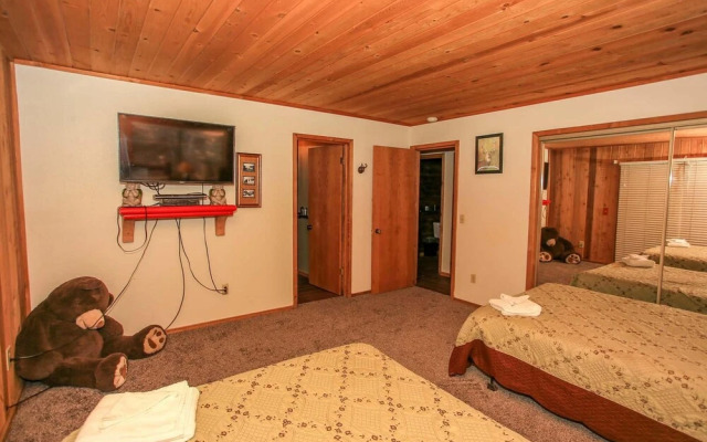 Pines and Needles 1454 by RedAwning