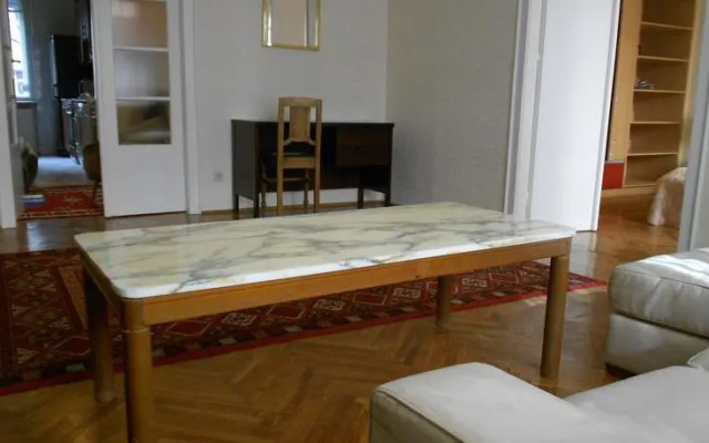 Big and Nice Flat in Budapest