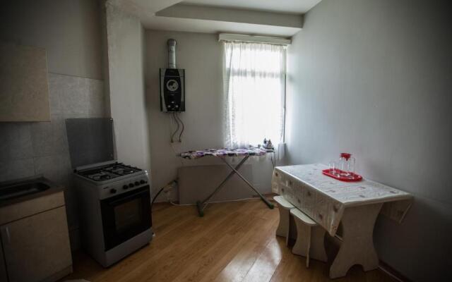 Sunny apartments. Tbilisi. 300 Aragveli