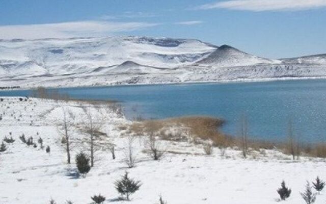 Complexe Collier D'Ambre