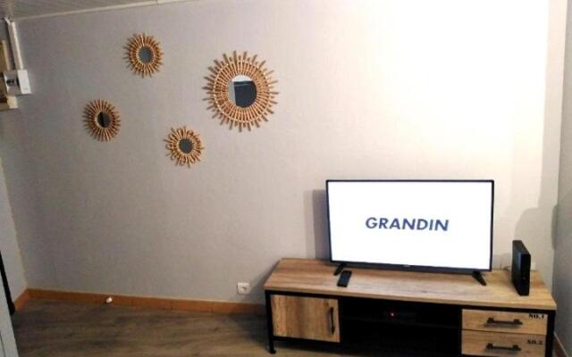 T2 bis quartier château de Pau