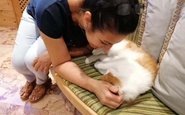 Adler Hotel-Pension 3 Sterne