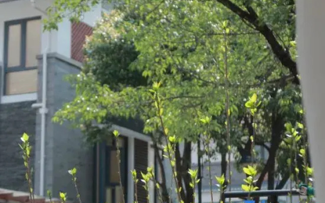 Dali Chuchu Cottage Homestay