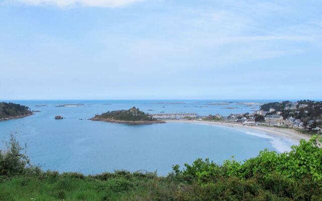 Les Hortensias (TBD100)