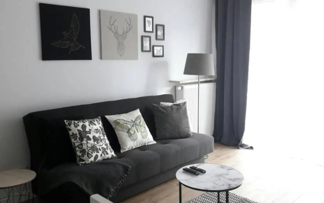 Lux Apartment close to Medicover and Paley
