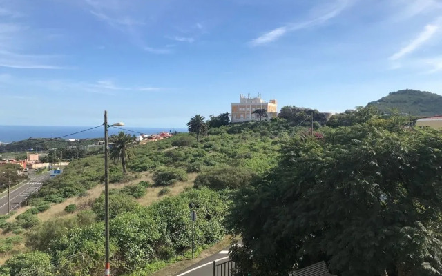 Tafira Alta Vineyard Volcanic apartment