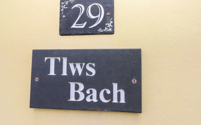 Tlws Bach