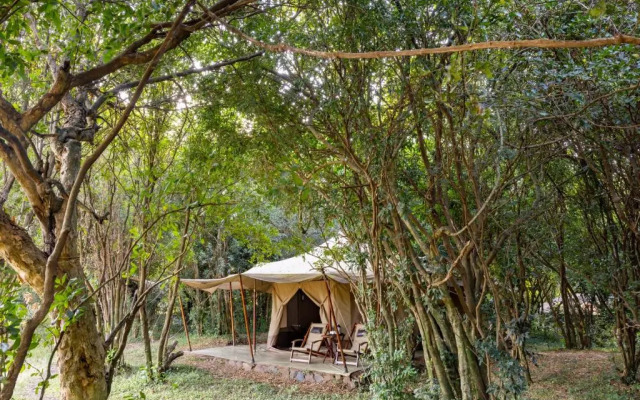 Sentinel Mara Camp