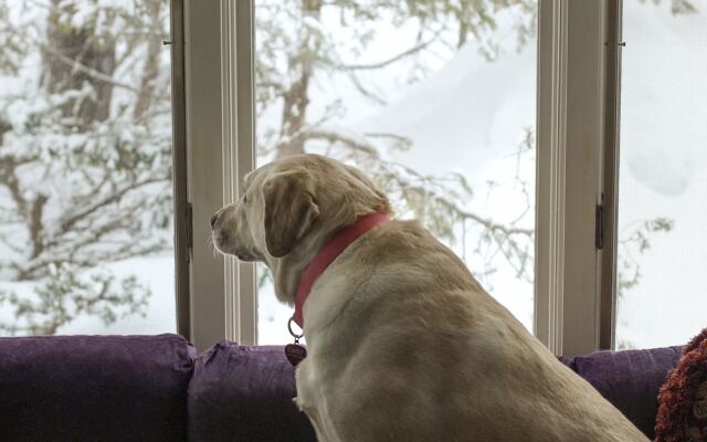 Admiral Peary Inn Bed & Breakfast