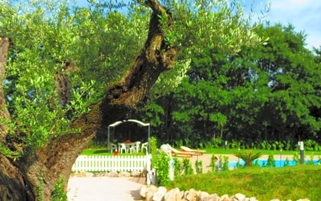 La Selva Incantata b&b